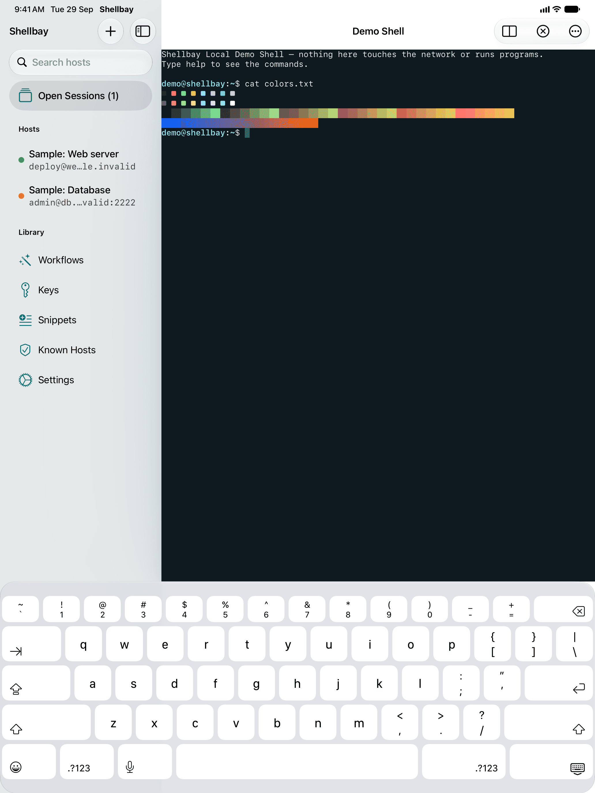 Shellbay on iPad: the host sidebar next to the Local Demo Shell showing a colour test pattern.