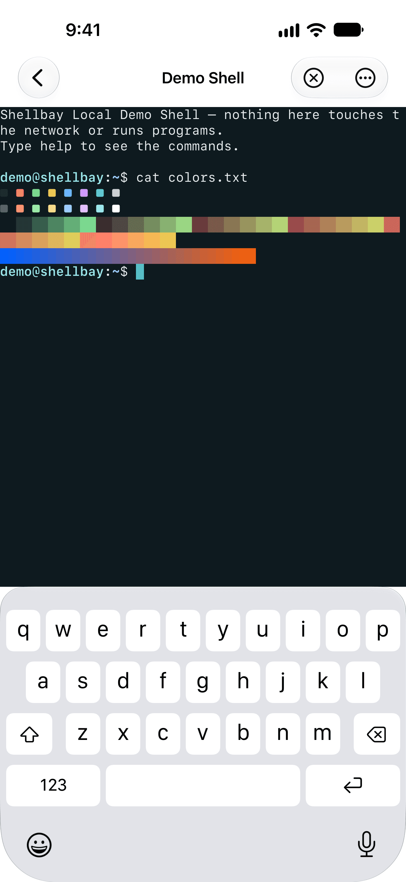 Shellbay's Local Demo Shell on iPhone printing a 256-colour test pattern, with the on-screen keyboard open.