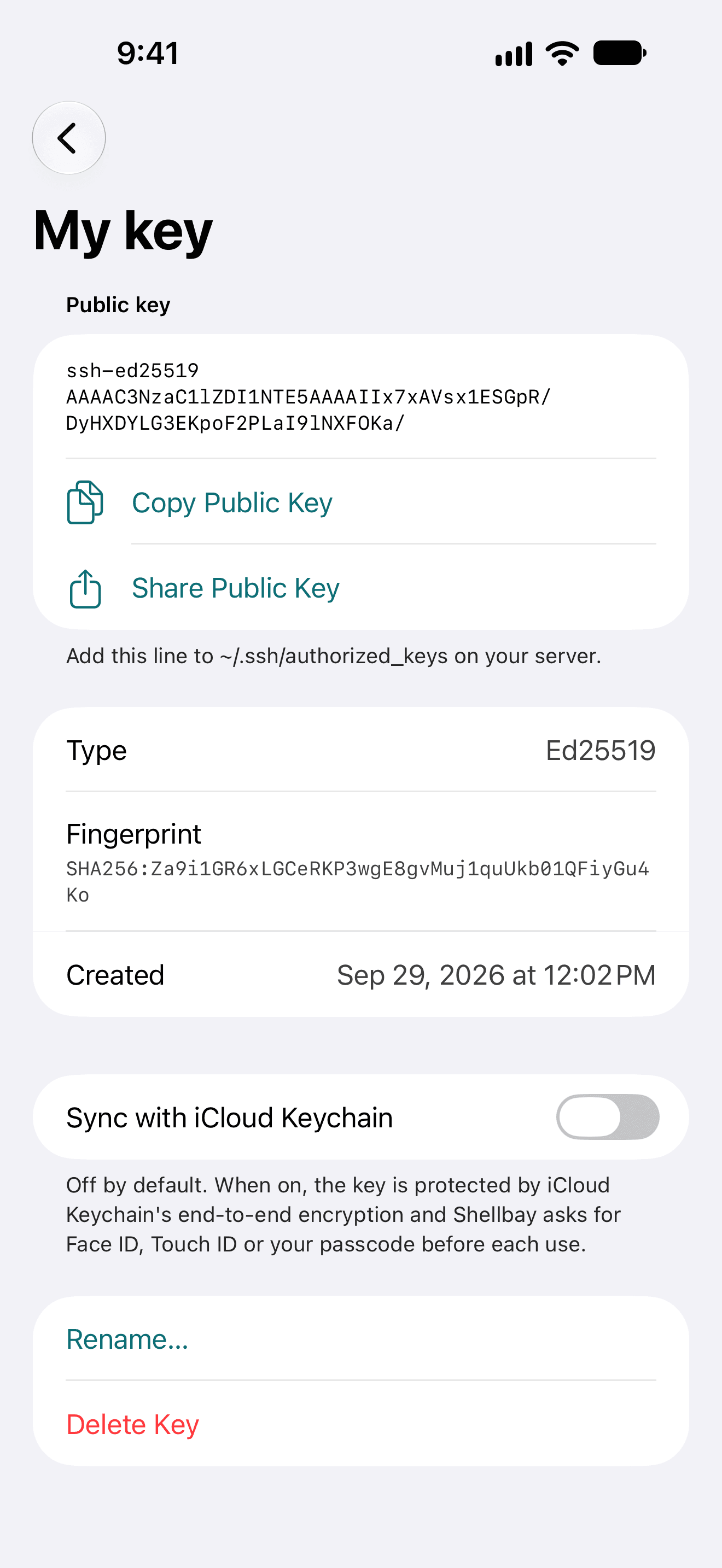 An Ed25519 key on iPhone with its public key, fingerprint, copy and share buttons, and iCloud Keychain sync turned off.