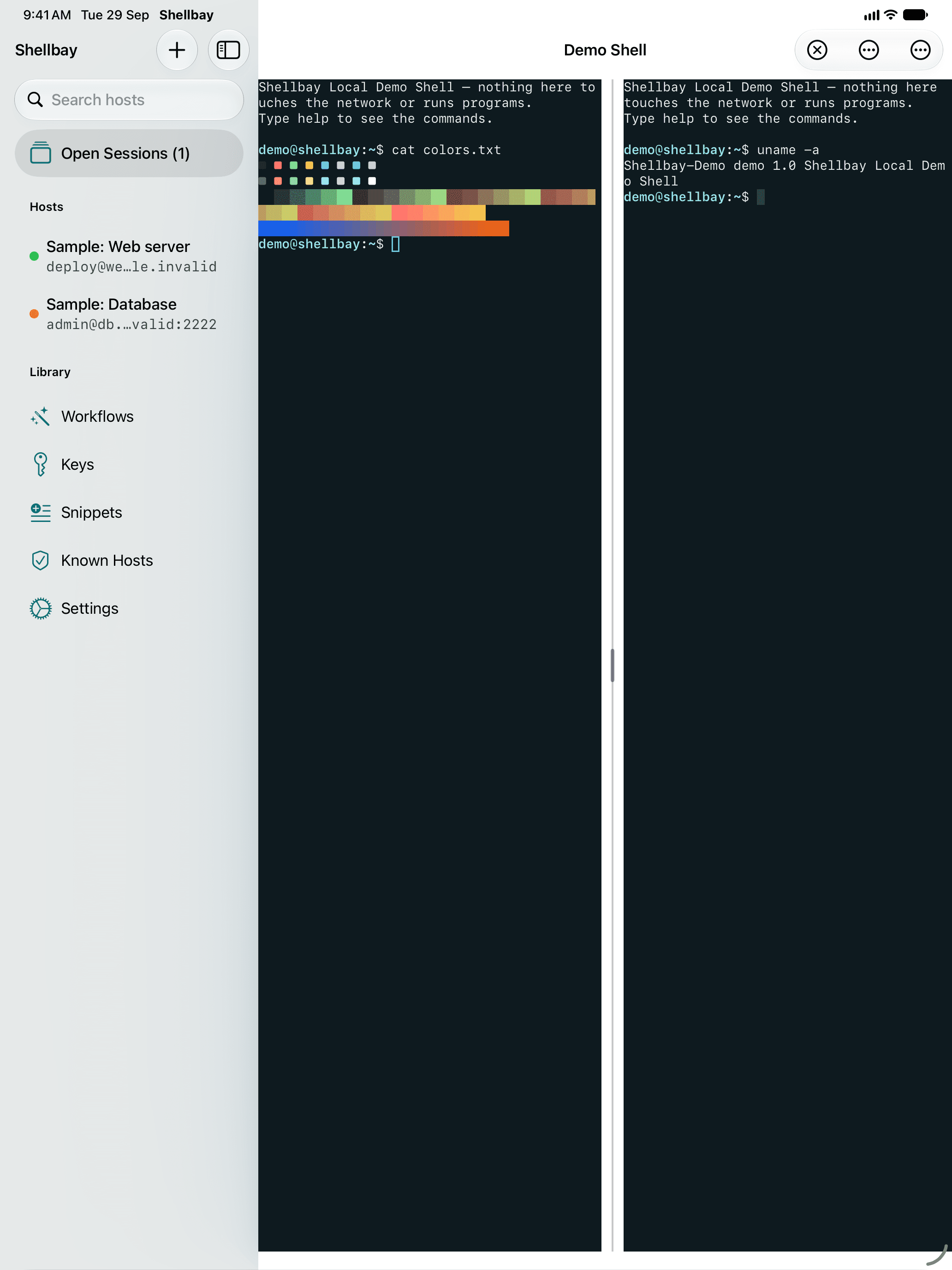 Shellbay on iPad in split view, with two terminal sessions side by side.